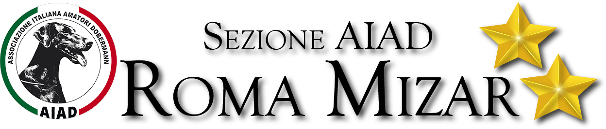 Sezione AIAD Roma Mizar