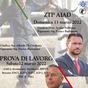 ZTP del 13.03.2022